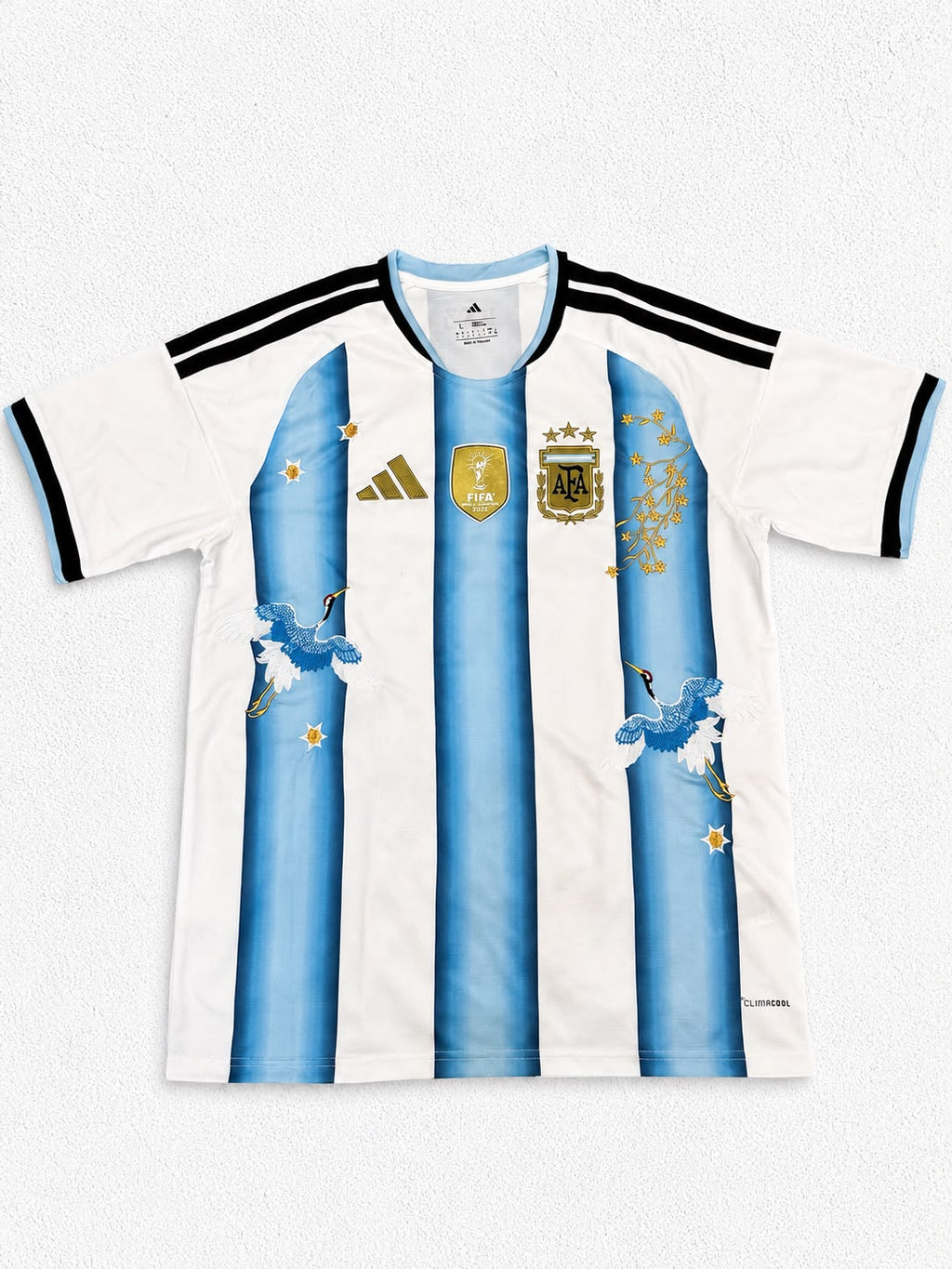 Argentina Celeste Bloom – Premium Floral Embroidery Jersey ⭐